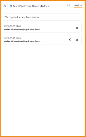 File versions